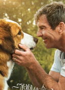 竞价排名预算与SEO投入的平衡优化方法